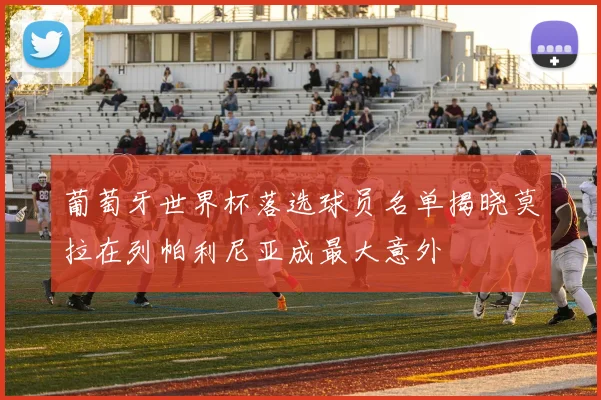 葡萄牙世界杯落选球员名单揭晓莫拉在列帕利尼亚成最大意外